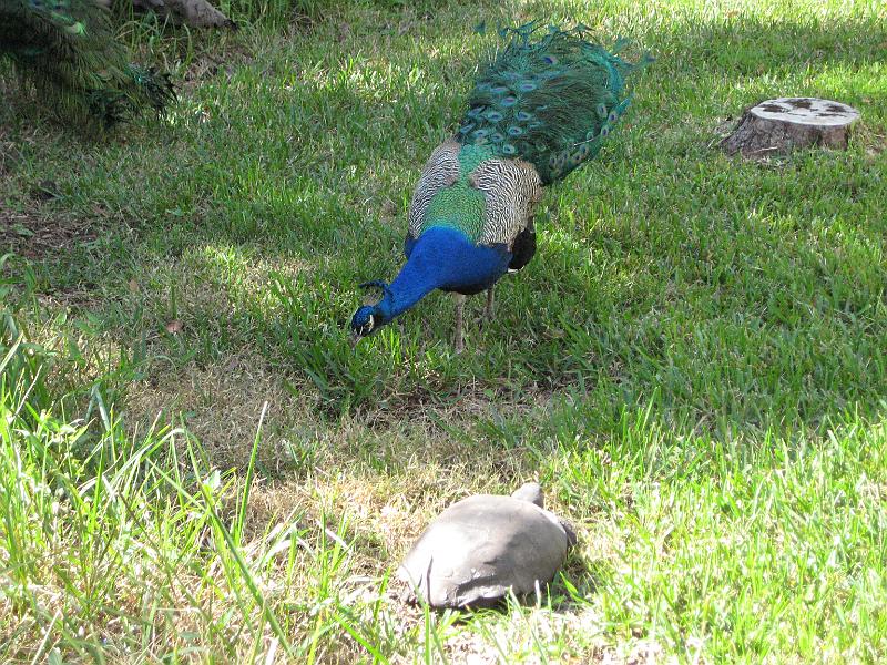 Picture 030